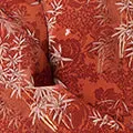 Leaf Print Tie Waist Midi Shirt Dress
