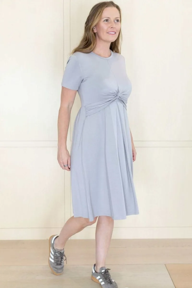 Liv Maternity & Nursing Dress